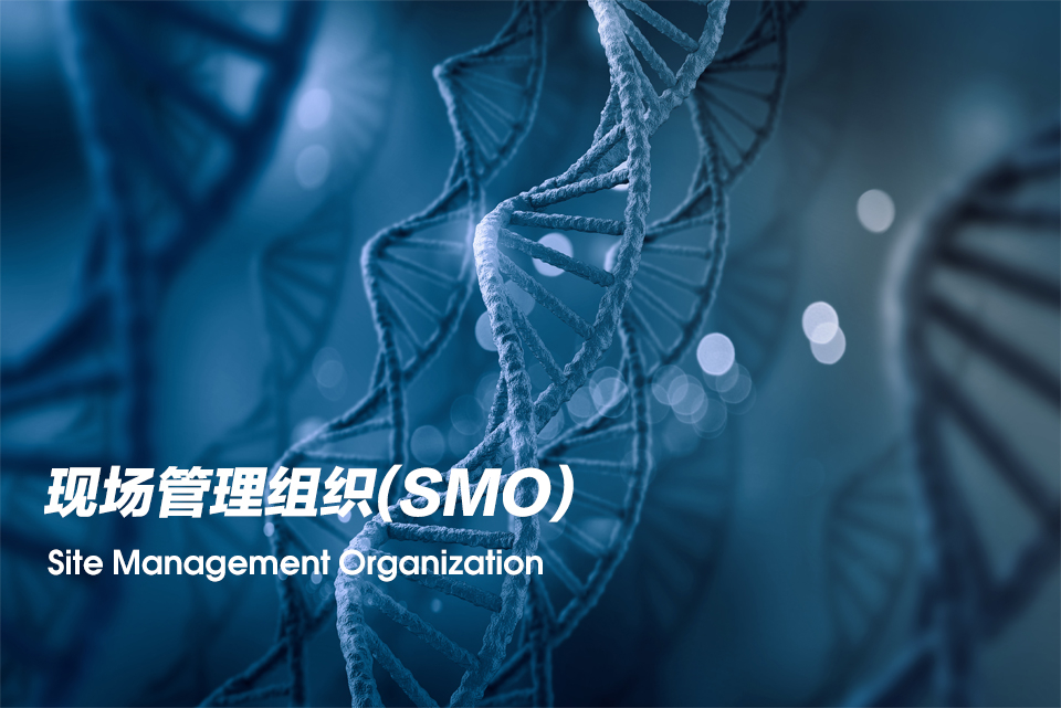 现场管理组织（Site Management Organization，，，，SMO）